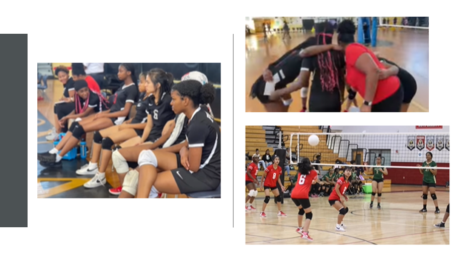 volleyball